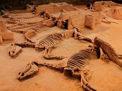 -洛阳周王城天子驾六博物馆