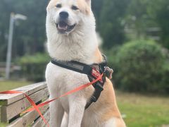 -爱侣宠医·鹦鹉专科·小型哺乳类·异宠专科(灵石路店)