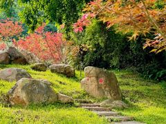 -广州市帽峰山景区