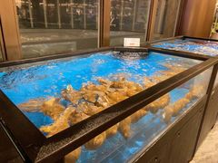 -南海渔村(珠江新城店)