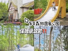 -东平国家森林公园