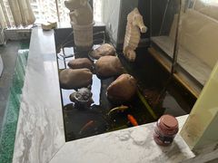 -乐尚音乐空间·钢琴·声乐·架子鼓(会展中心店)