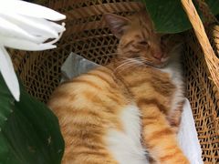 -萌兽医馆·犬猫专科·眼科中心·宠物医院(朝阳门分院)