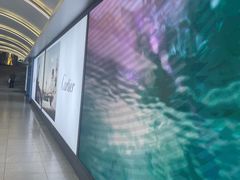 -凯德MALL(望京店)