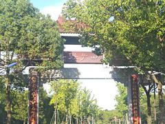 -游子山休闲旅游区