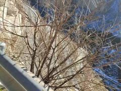 -明泽陆通汽车陪练(总店)