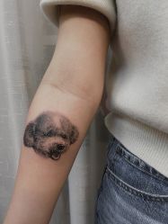 -明星刺青·洗纹身