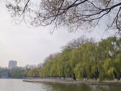 -二一九公园