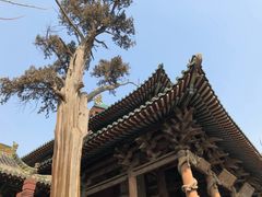 -晋祠公园