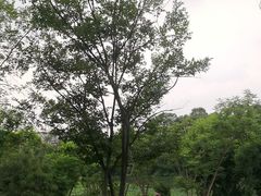 -茅草房·河畔园林火锅