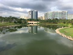 -宝安西湾红树林湿地公园