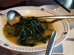豌豆汤煮豆苗-杏花堂晋商私房菜(华熙五棵松店)