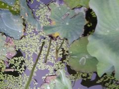 -留芳·文旅古月楼(老街店)