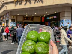 -沈大成(南京东路店)