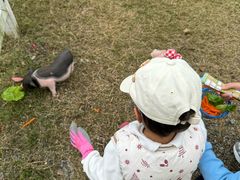 -前小桔亲子创意农场·草莓采摘·露营烧烤