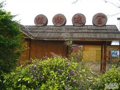 -南宁花花大世界景区