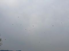 -门城湖公园