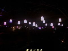 -武汉紫薇都市田园