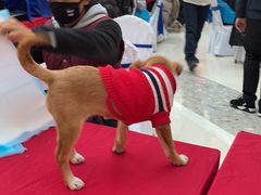 -万达广场(松江店)