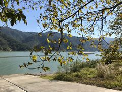 -羚羊峡古栈道森林公园