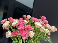 -梵猫·新养生(鹭江大同店)