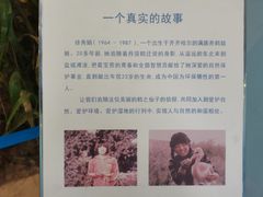 -盐城丹顶鹤湿地生态旅游区