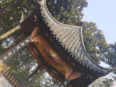 -梅园