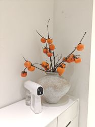 -安那般那皮肤年轻化ANAPANA