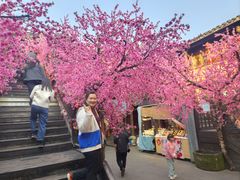 -桃源山庄·水蜜桃采摘·柴火鸡·烧烤团建(龙泉山店)