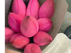 -绿茶餐厅(昆明世纪金源店)