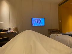 -苏州金鸡湖文博诺富特酒店
