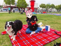 -栖露营camping·天幕烧烤·团建拓展·采摘营地