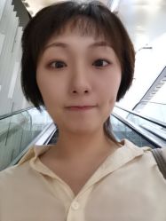 -大象造型