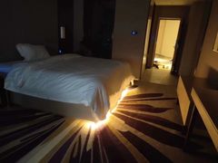 -麗枫酒店(成都理工大学地铁站店)