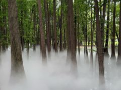 -东湖落雁景区