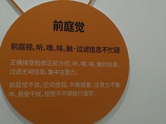 -多特儿童专注力·感统训练·学习力训练(曲江校区)