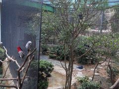 -九龙公园
