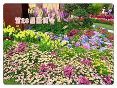 -海心沙亚运公园