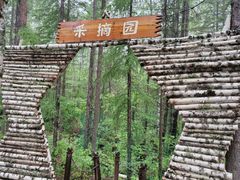 -峡谷浮石林景区