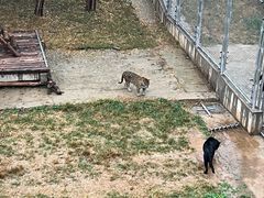 -石家庄市动物园