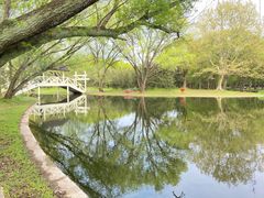 -上海共青森林公园