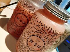 -野萃山·潮汕厚果汁(十亩地店)