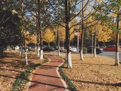 -浙江农林大学(东湖校区)
