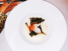 -蝶舍·MAISON PAPILLON