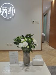 -HEYAN长风荷妍专业脱毛美肤
