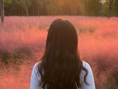 -昆山城市生态森林公园