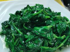 鸡油炒豆苗-海鲜街菜馆(海珠南路店)