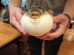 -永安鱼庄·镇江菜(丁卯店)