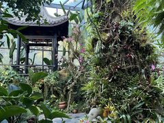 -东莞植物园