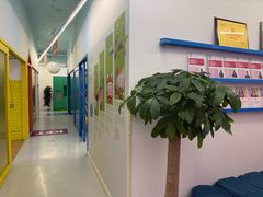 -英孚教育青少儿(南坪中心)